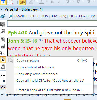 theWord Copy Bible List options