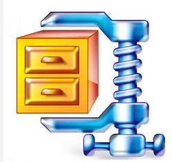 Benefits and Disadvantages of Compressing a theWord Module